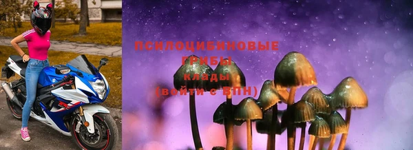 стафф Алексин