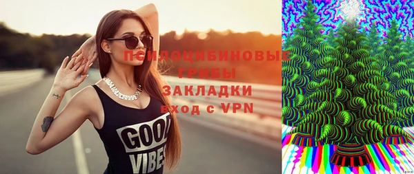 стафф Алексин