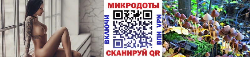 мега ссылки цена наркотик Новотитаровская Галлюциногенные грибы Cubensis